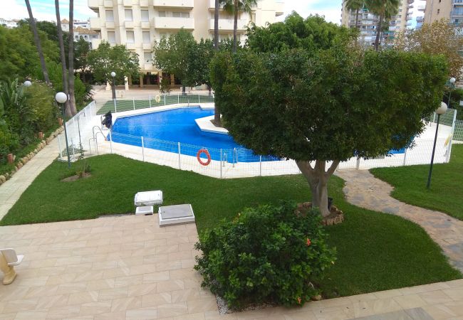 alquiler piso benalmadena apartamentos en benalmadena piso alplt1813 alquiler piso benalmadena apartamentos en benalmadena piso alplt1813