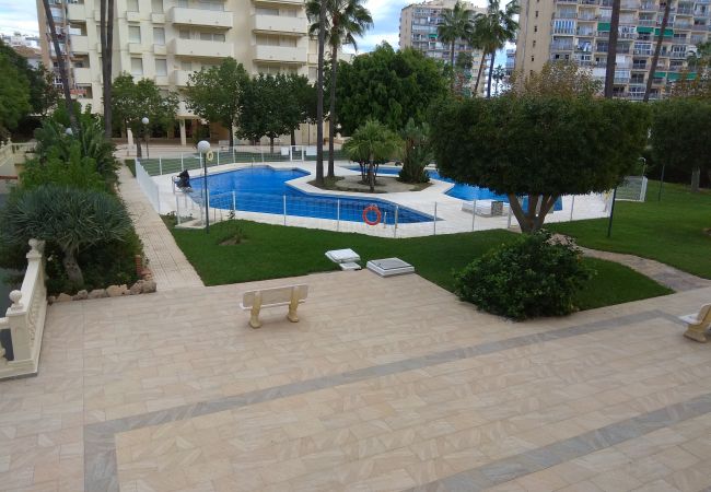 alquiler piso benalmadena apartamentos en benalmadena piso alplt1813 alquiler piso benalmadena apartamentos en benalmadena piso alplt1813