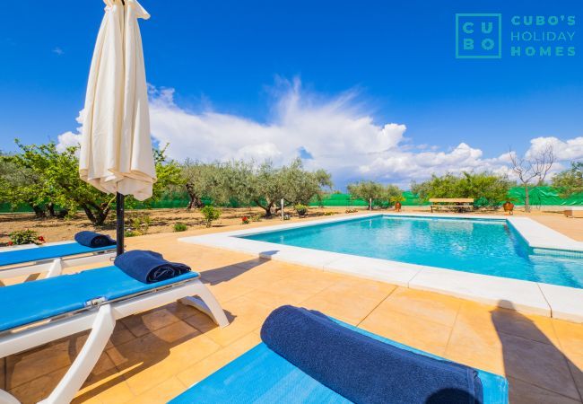 Casa rural en Alhaurín el Grande - Cubo's Finca Villaverde Casa rural en Alhaurín el Grande - Cubo's Finca Villaverde