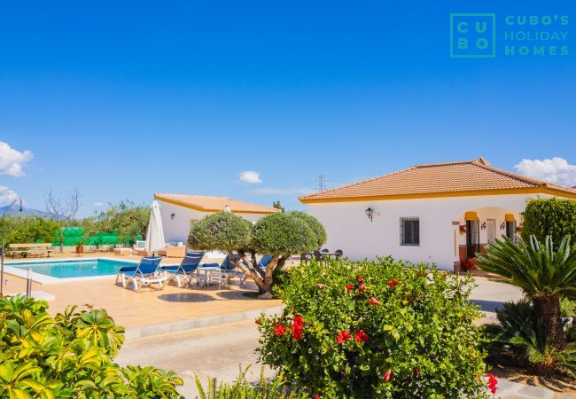 Casa rural en Alhaurín el Grande - Cubo's Finca Villaverde Casa rural en Alhaurín el Grande - Cubo's Finca Villaverde