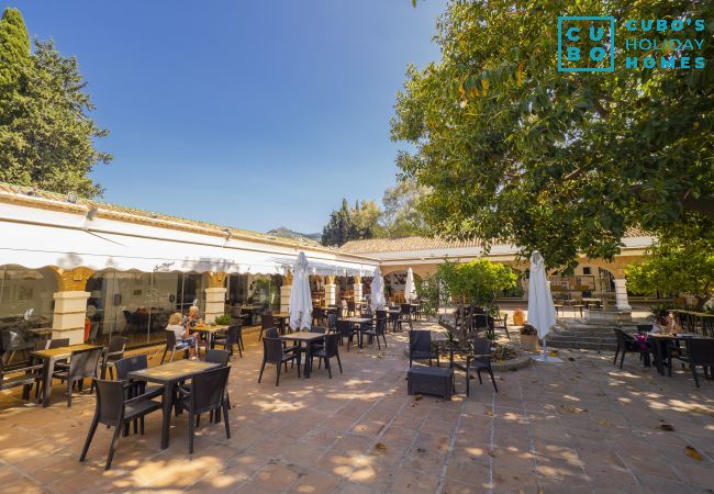 Casa rural en Alhaurin de la Torre - Cubo's Finca la Encina Casa rural en Alhaurin de la Torre - Cubo's Finca la Encina