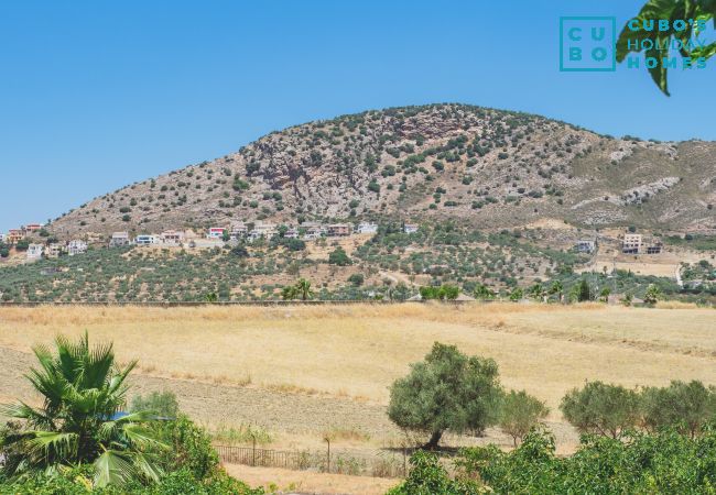 Casa rural en Alhaurín el Grande - Cubo's Finca Los Magnolios Casa rural en Alhaurín el Grande - Cubo's Finca Los Magnolios