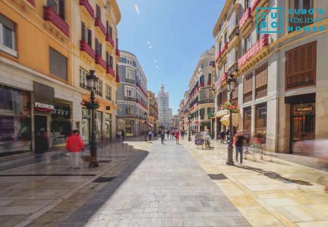 Apartamento en Málaga - Cubo's Apartamento Aires del Sur Apartamento en Málaga - Cubo's Apartamento Aires del Sur