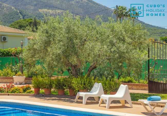 Casa rural en Alhaurín el Grande - Cubo's Finca Camino de Las Tinajas Casa rural en Alhaurín el Grande - Cubo's Finca Camino de Las Tinajas