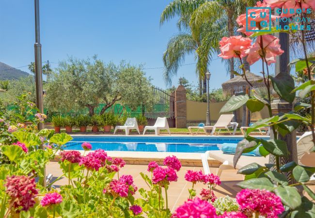 Casa rural en Alhaurín el Grande - Cubo's Finca Camino de Las Tinajas Casa rural en Alhaurín el Grande - Cubo's Finca Camino de Las Tinajas