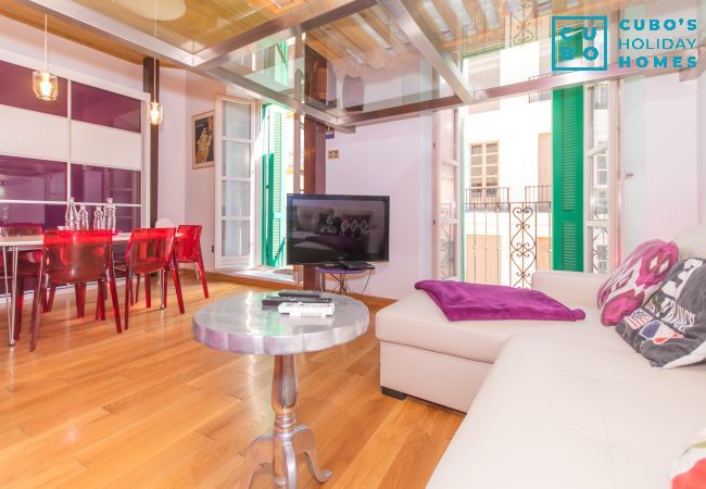 Salón de este apartamento en el centro de Málaga