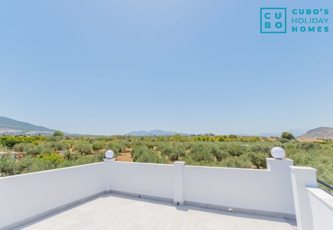 Casa rural en Alhaurín el Grande - Cubo's Finca La Libelula Casa rural en Alhaurín el Grande - Cubo's Finca La Libelula