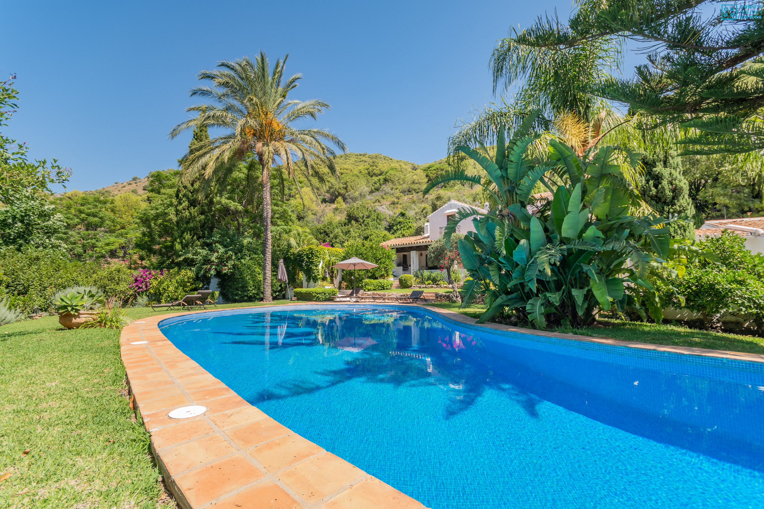 Piscina y exteriores de esta preciosa Villa en Coin 