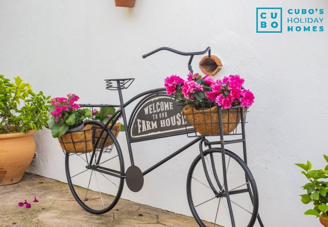 Casa rural en Alhaurín el Grande - Cubo's Finca La Deseada Casa rural en Alhaurín el Grande - Cubo's Finca La Deseada