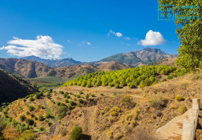 Casa rural en Pizarra - Cubo's Finca La Curva High Privacy Casa rural en Pizarra - Cubo's Finca La Curva High Privacy