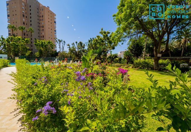 Apartamento en Torremolinos - Cubo's Seaview Apartament Evy Playa Apartamento en Torremolinos - Cubo's Seaview Apartament Evy Playa
