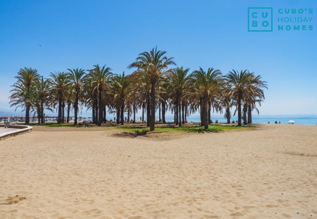 Apartamento en Torremolinos - Cubo's Seaview Apartament Evy Playa Apartamento en Torremolinos - Cubo's Seaview Apartament Evy Playa