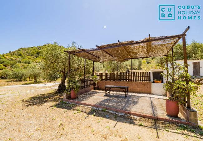 Casa rural en Cártama - Cubo's Cortijo La Palmera