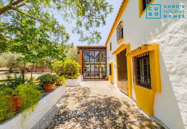 Casa rural en Cártama - Cubo's Cortijo La Palmera