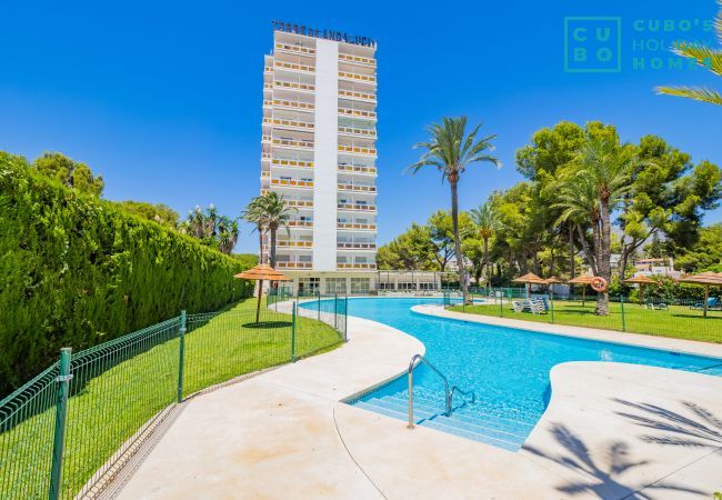 Apartamento en Marbella - Cubo's Torre Andalucia Marbella Apartment