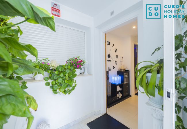 Alquiler por habitaciones en Benalmádena - Cubo's Poseidon Apartment 2 & Pool Alquiler por habitaciones en Benalmádena - Cubo's Poseidon Apartment 2 & Pool