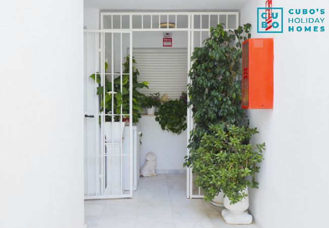 Alquiler por habitaciones en Benalmádena - Cubo's Poseidon Apartment 2 & Pool Alquiler por habitaciones en Benalmádena - Cubo's Poseidon Apartment 2 & Pool