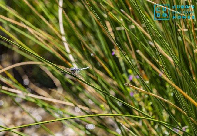 Casa rural en Ardales - Cubo's Casa Rural El descanso del Caminito del Rey Casa rural en Ardales - Cubo's Casa Rural El descanso del Caminito del Rey