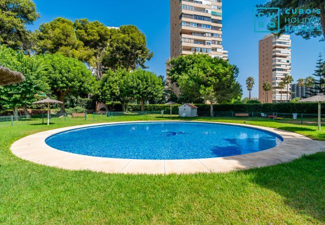 Apartamento en Torremolinos - Cubo's Playamar Beach Apartment