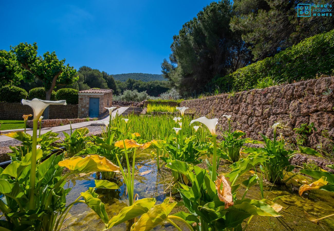 Villa en Alhaurín el Grande - Cubo's Villa El Tejar