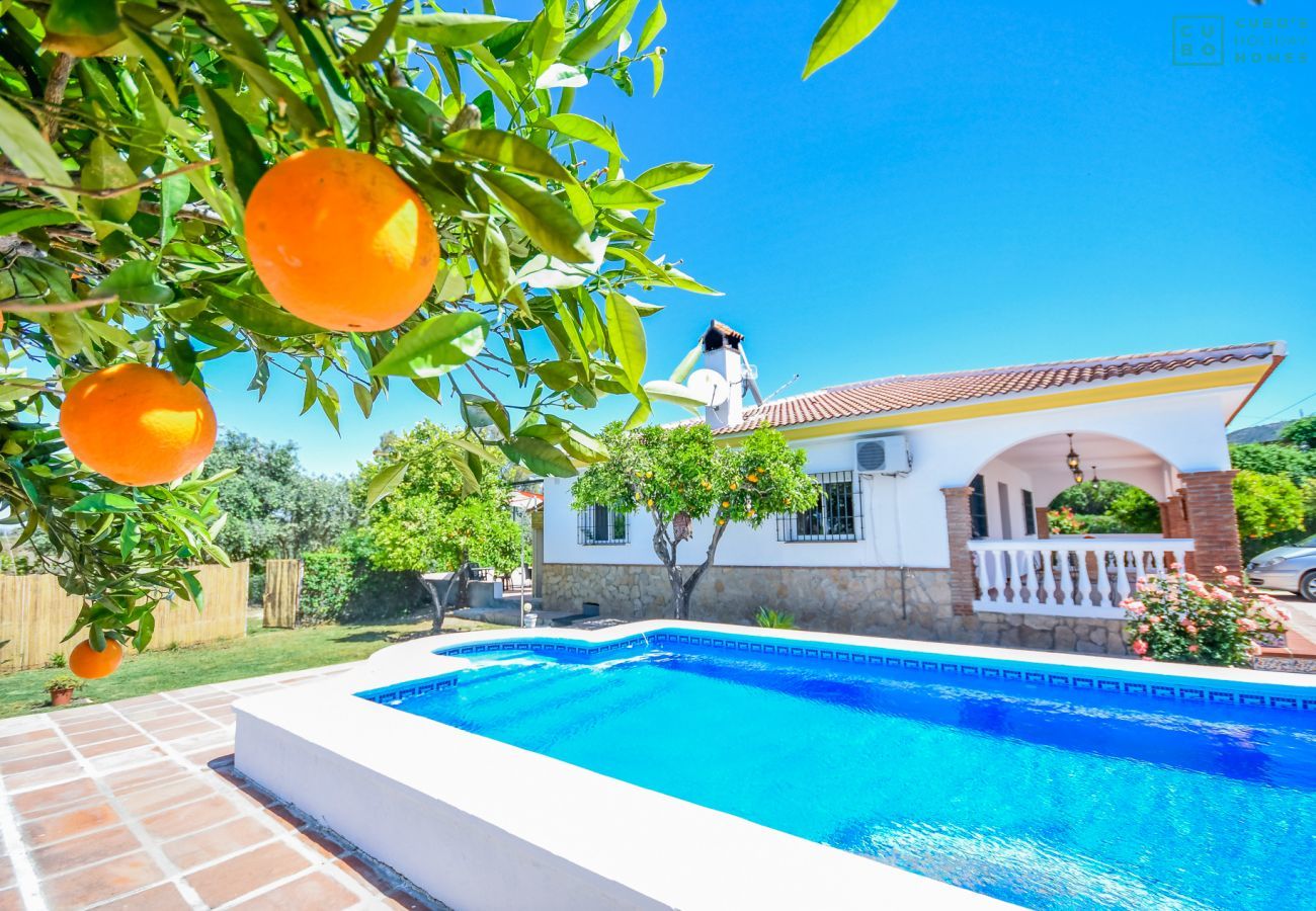 Piscina privada de esta Finca en Cártama