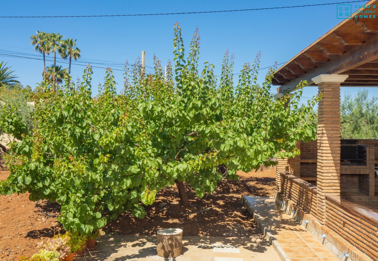 Casa rural en Alhaurín el Grande - Cubo's Finca Las Tinajas de la Dehesilla
