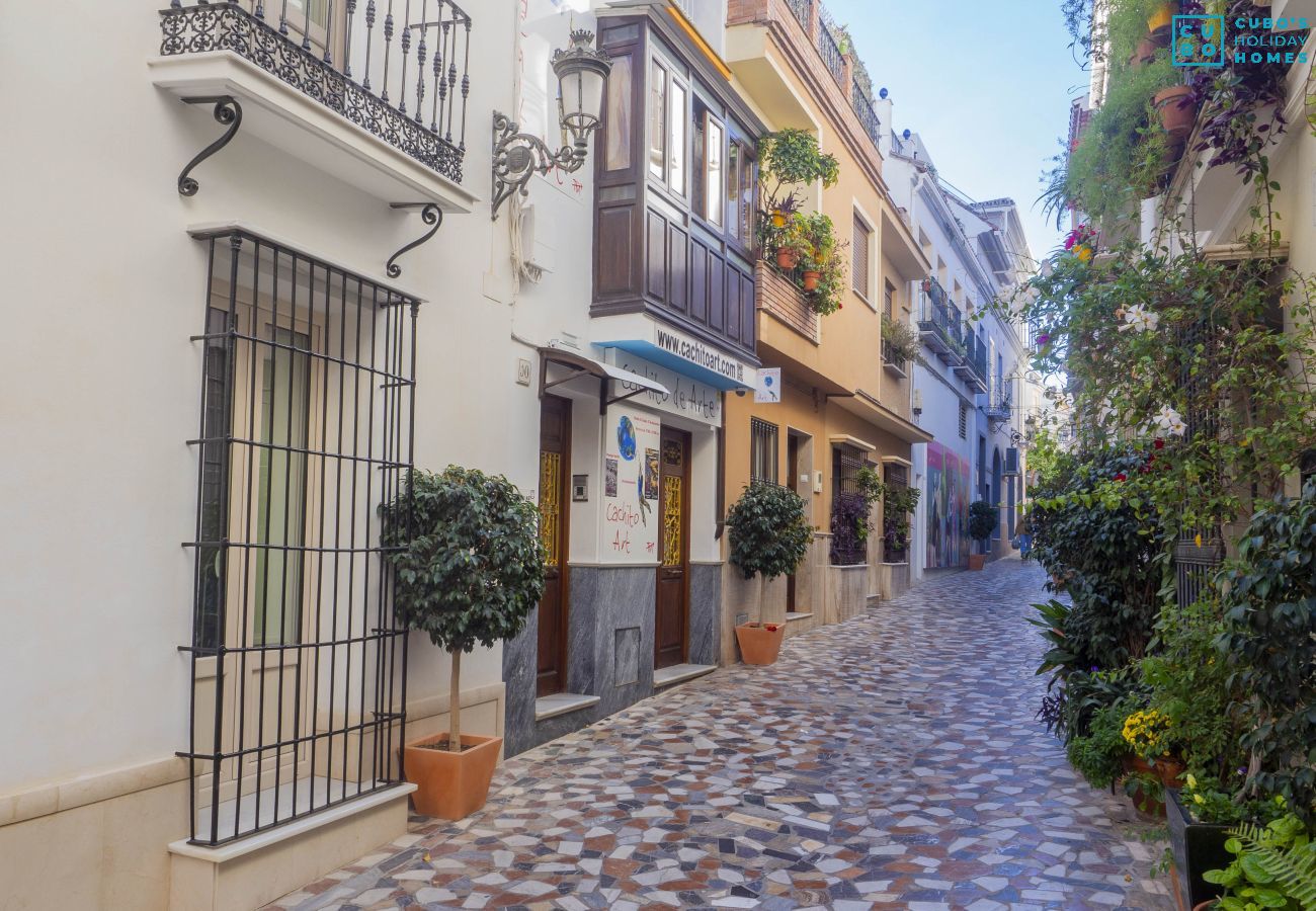 Casa rural en Coín - Cubo's Casa El Retiro