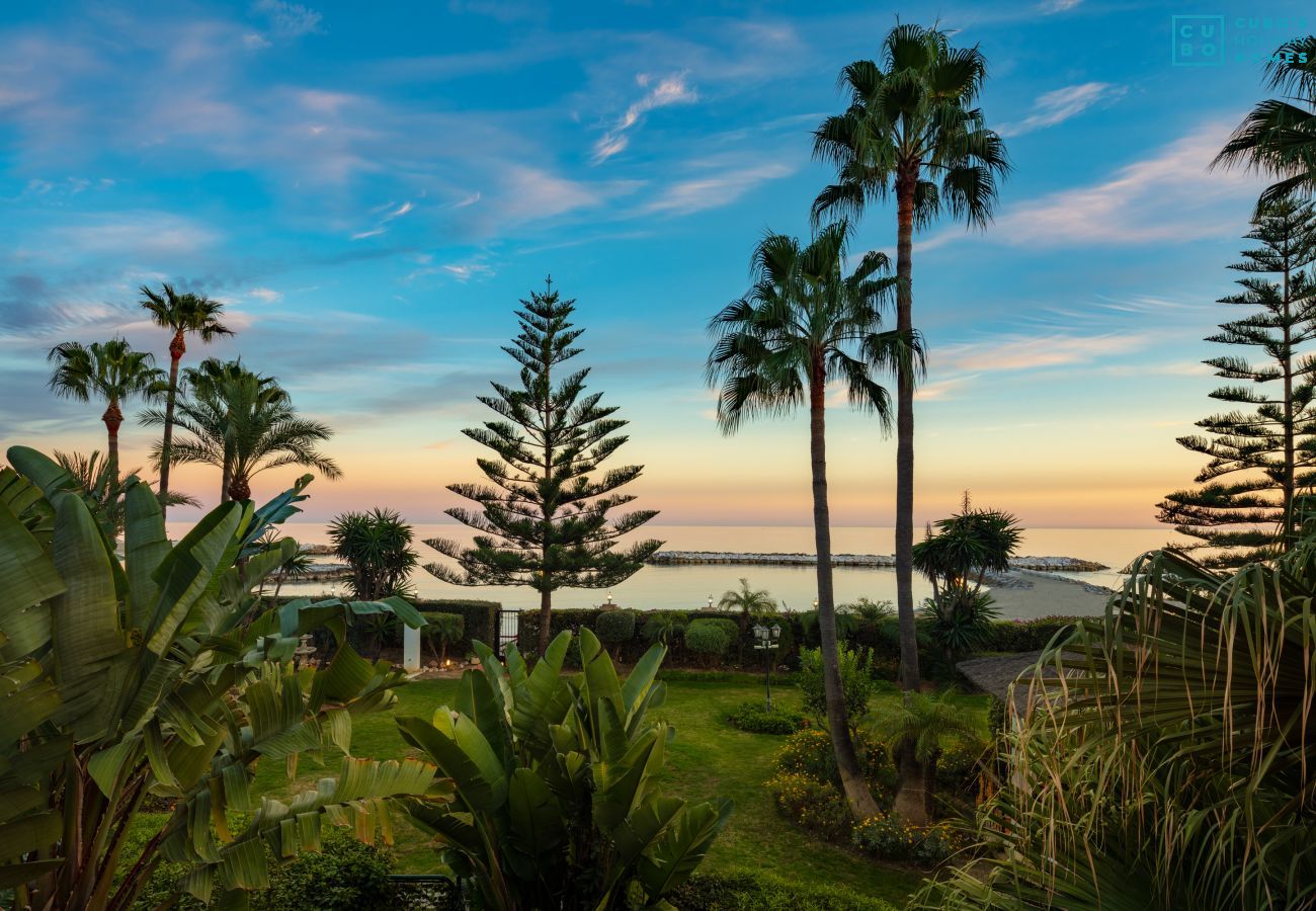 Apartamento en Nueva andalucia - Cubo's Luxury Beach Front Duplex Puerto Banus