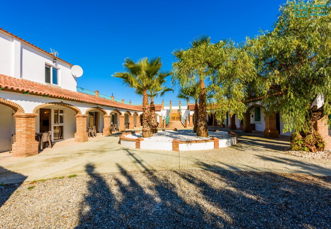 Apartamento en Alhaurín el Grande - Cubo's Apartamento El Patio Andaluz nº 0