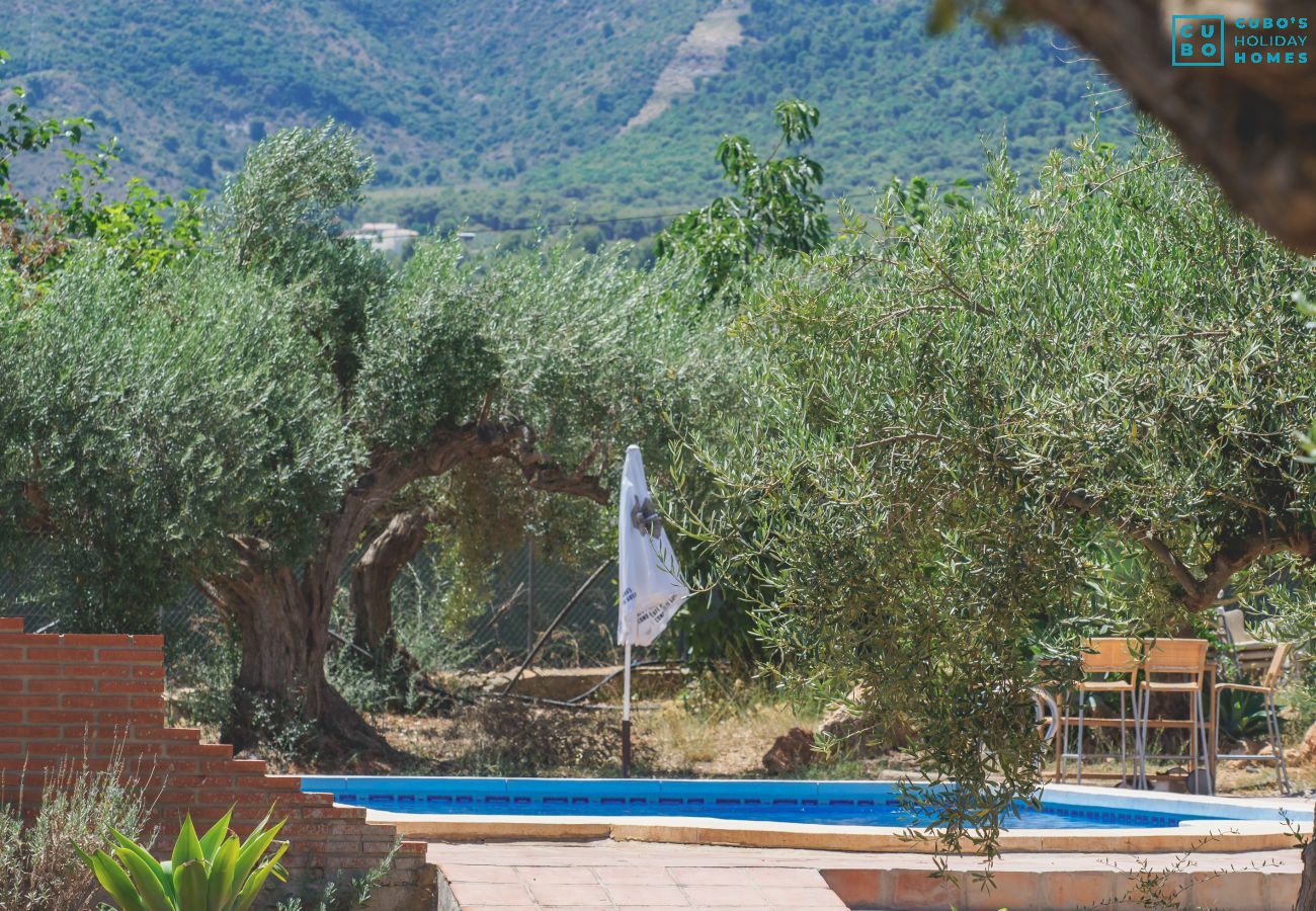 Casa en Alhaurín el Grande - Cubo's Finca Sanchez Aranda