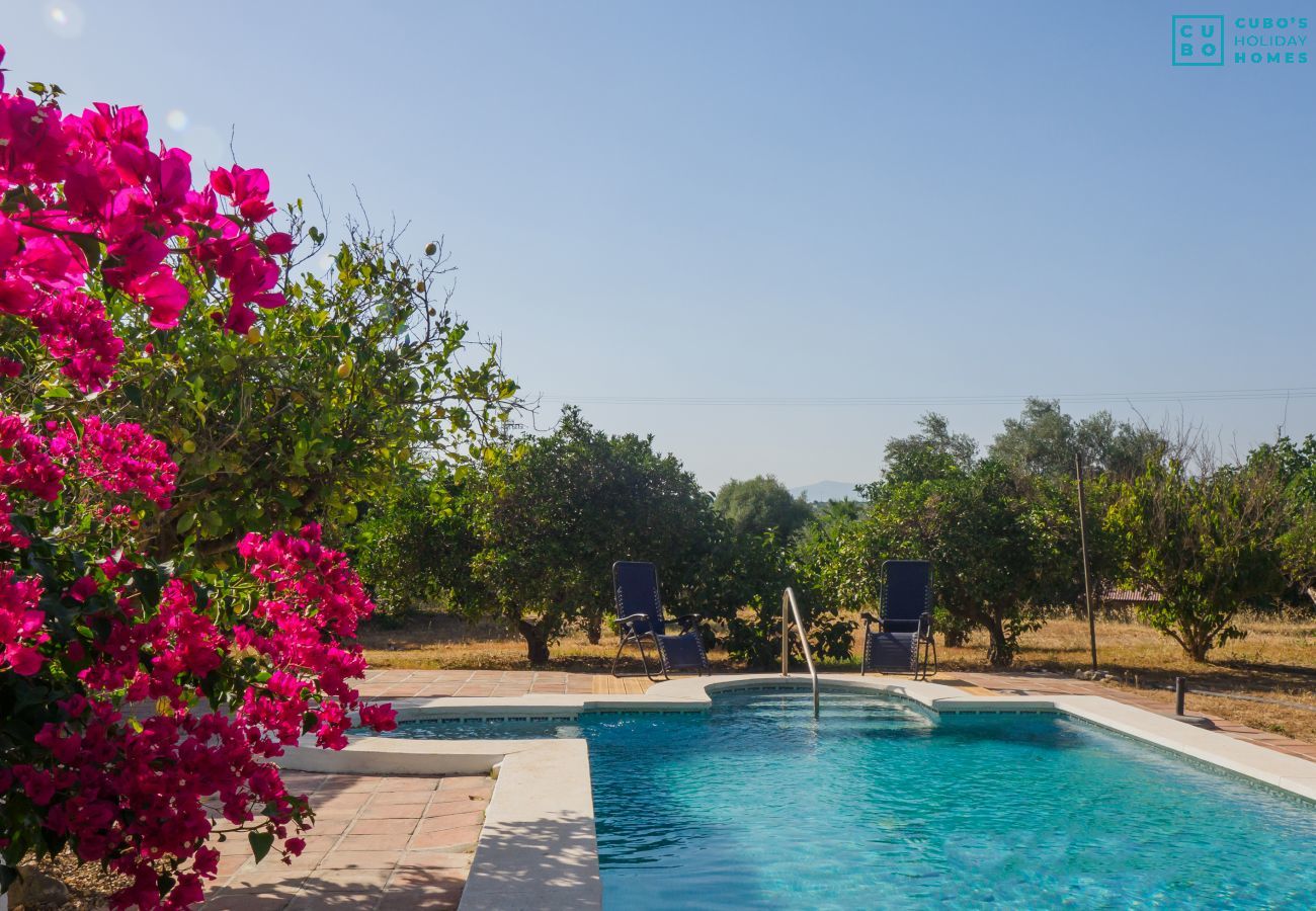 Casa rural en Cártama - Cubo's Cortijo La Bolina