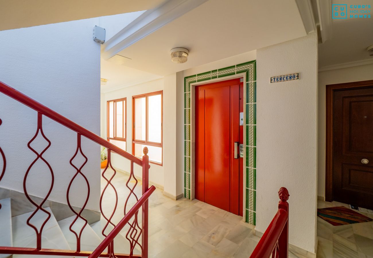 Apartamento en Mijas Costa - Cubo's Apartamento Lubina Coral