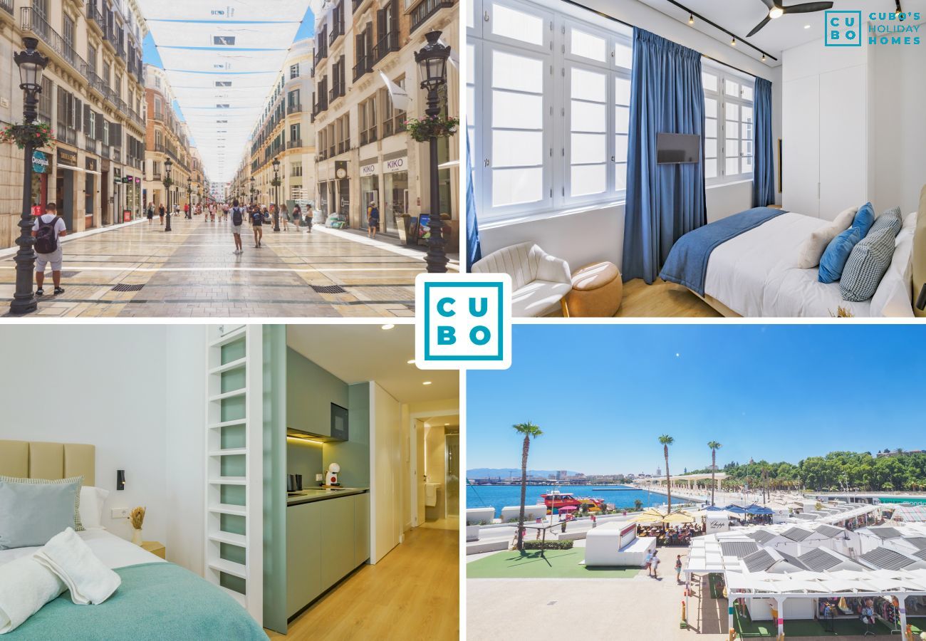 Estudio vacacional en el Centro de Málaga