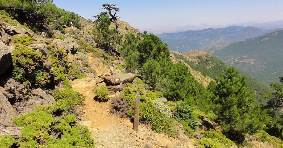 Sierra Bermeja Málaga Naturaleza