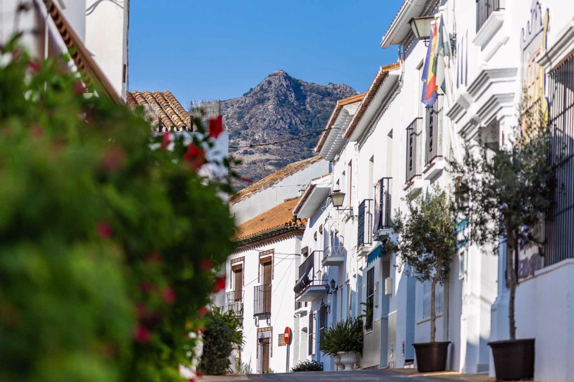 El nombre de la ciudad de Málaga: origen y significado a través de