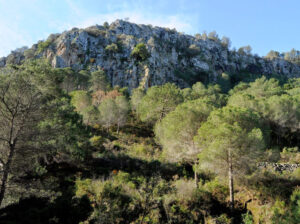 Jabalcuza y Jarapalos