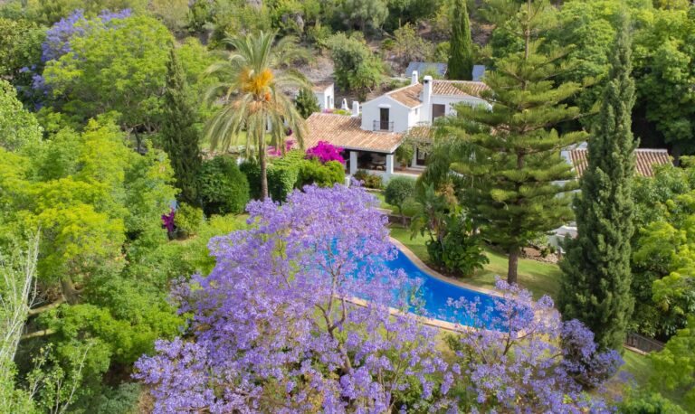 Vista aérea de una propiedad vacacional en Málaga gestionada por Cubo’s Holiday Homes