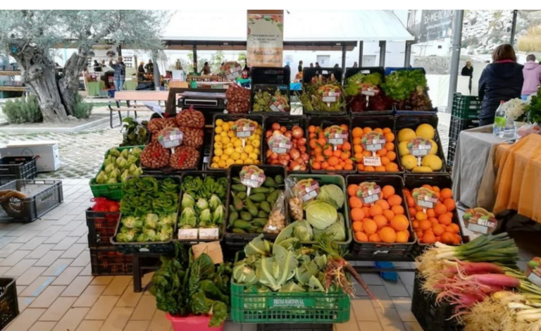 PLANTILLA CARRUSEL BLOG (14)