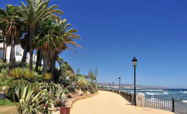 PLANTILLA CARRUSEL BLOG (29)