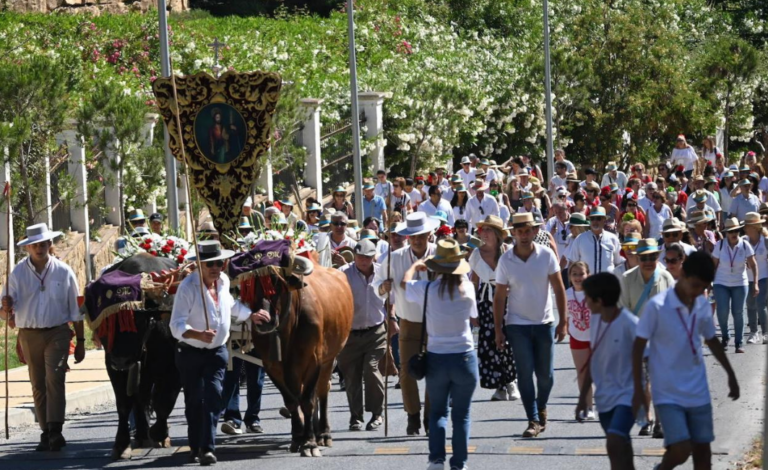 PLANTILLA CARRUSEL BLOG (36)