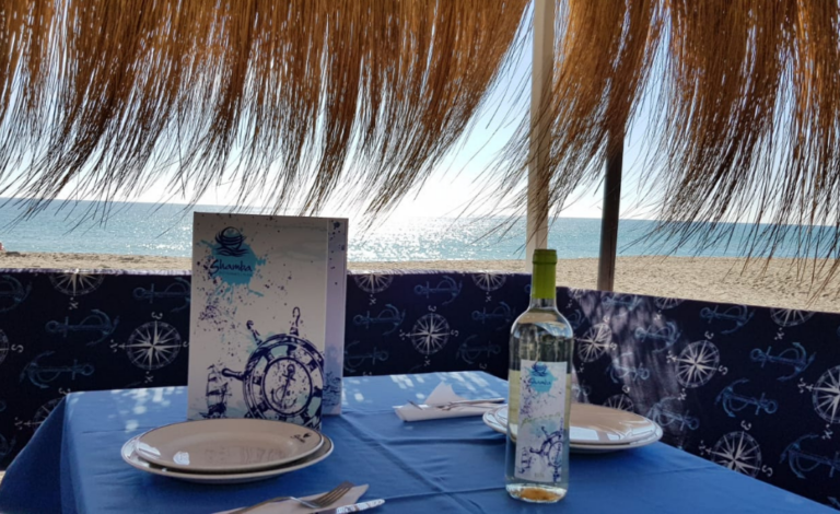 PLANTILLA CARRUSEL BLOG (51)