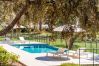 Villa in Ronda - Cubo's Villa La Caldera