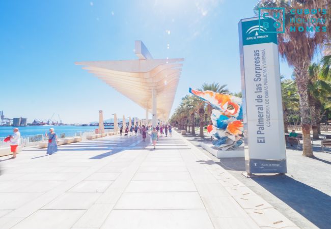 Apartment in Málaga - Cubo's Apartamento 33 Carreteria 3B Apartment in Málaga - Cubo's Apartamento 33 Carreteria 3B