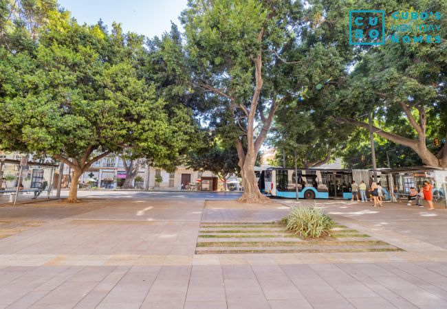 Apartment in Málaga - Cubo's Apartamento 33 Carreteria 3B Apartment in Málaga - Cubo's Apartamento 33 Carreteria 3B