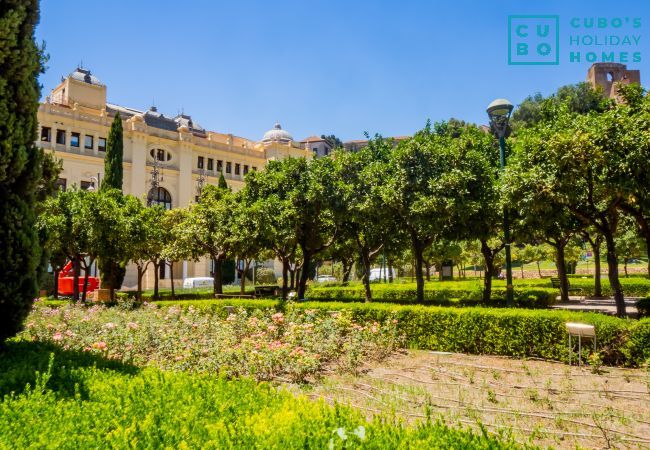 Apartment in Málaga - Cubo's Apartamento 33 Carreteria 3B Apartment in Málaga - Cubo's Apartamento 33 Carreteria 3B