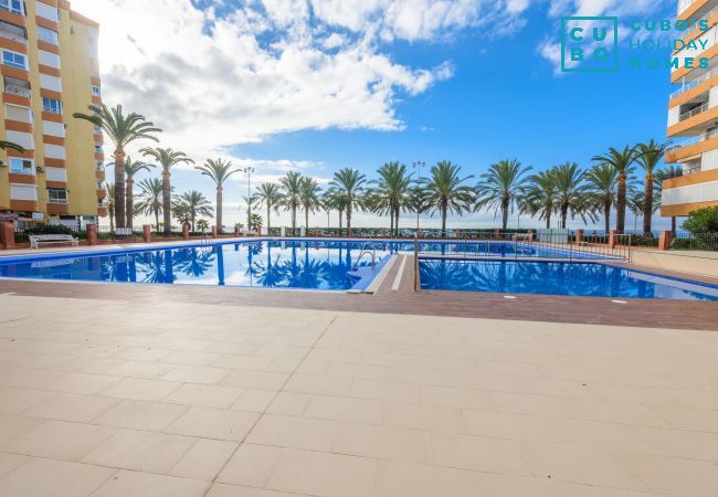 Community pool of this apartment in La Caleta de Vélez