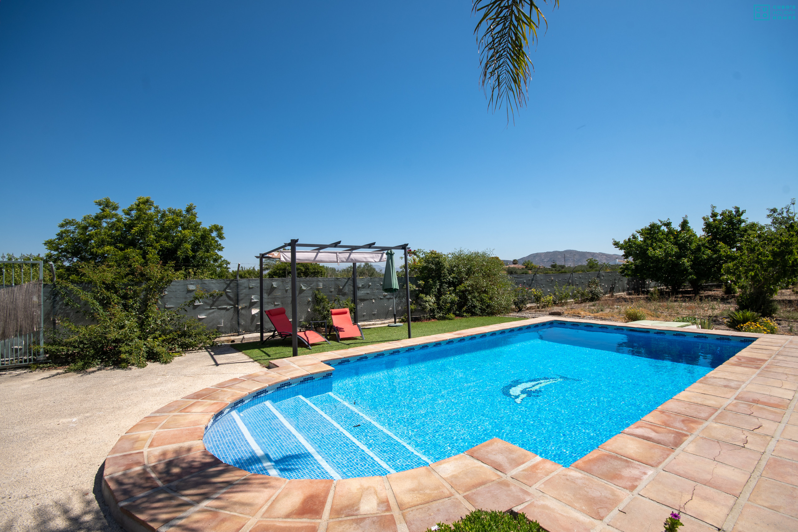 Pool of this farm in Alhaurín el Grande