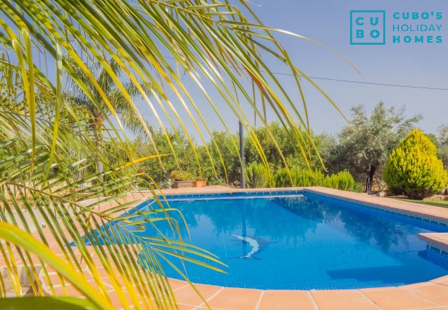 Cottage in Alhaurín el Grande - Cubo's Finca el Cortijito de Herrera Cottage in Alhaurín el Grande - Cubo's Finca el Cortijito de Herrera