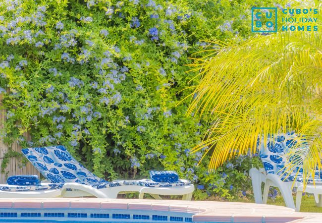 Cottage in Alhaurín el Grande - Cubo's Finca el Cortijito de Herrera Cottage in Alhaurín el Grande - Cubo's Finca el Cortijito de Herrera