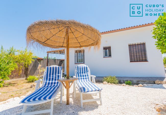 Cottage in Alhaurín el Grande - Cubo's Finca Pati Cottage in Alhaurín el Grande - Cubo's Finca Pati